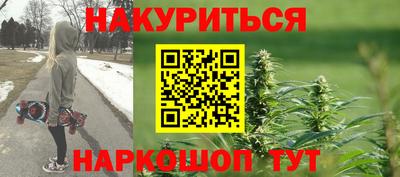 шишки Заволжье