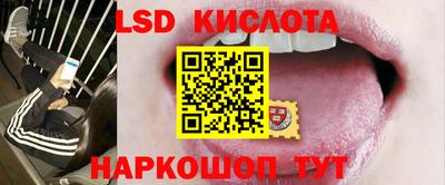 шишки Заволжье