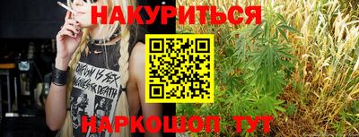 шишки Заволжье
