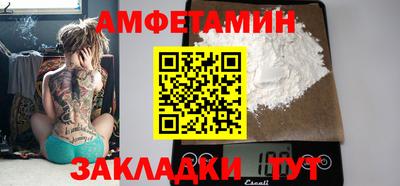 шишки Заволжье