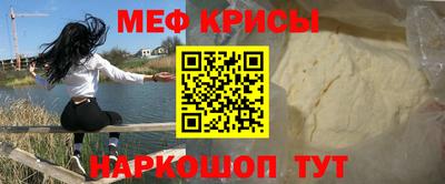 шишки Заволжье